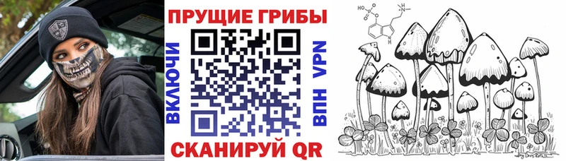 Галлюциногенные грибы мухоморы  дарк нет Telegram  Усть-Лабинск  что такое наркотик 